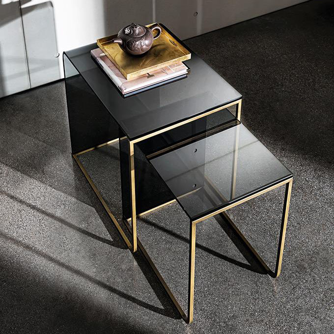 nido_LievoreAltherrMolina_sovet_grao05